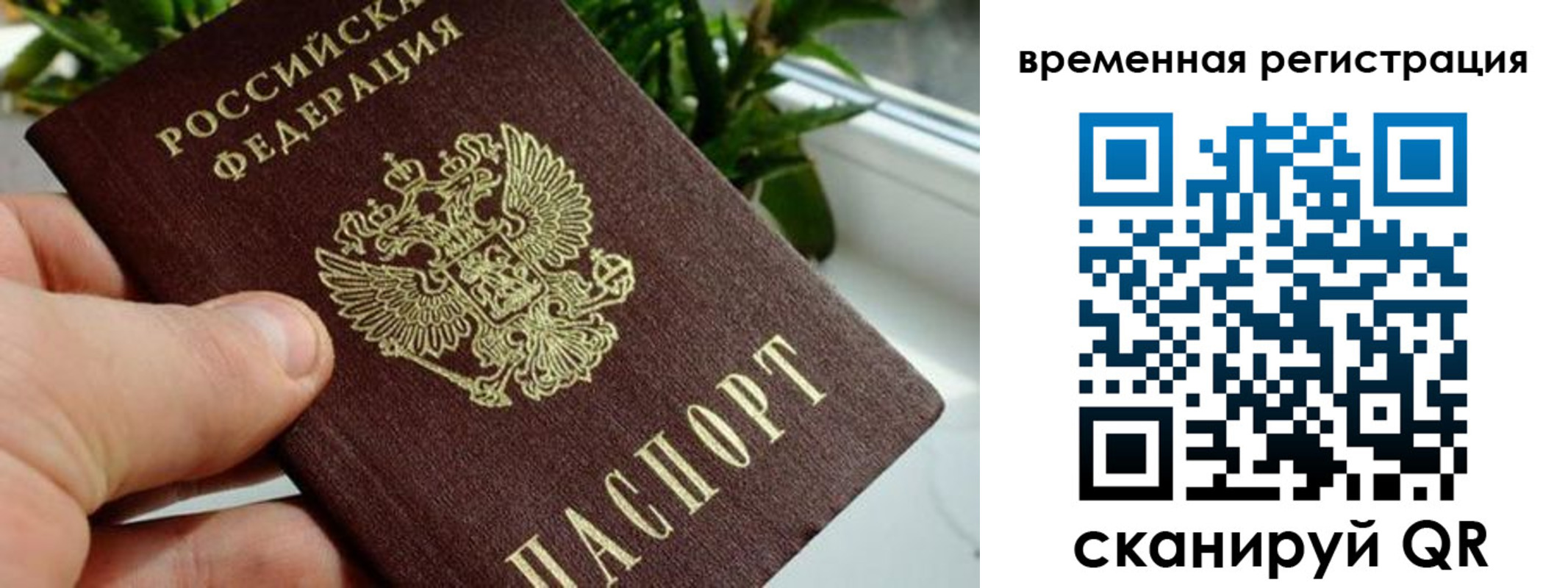 прописка поиск в Дятьково